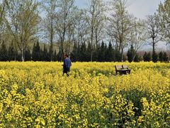 -汉长安城未央宫国家考古遗址公园
