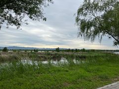 -野鸭湖国家湿地公园