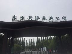-黄海国家森林公园