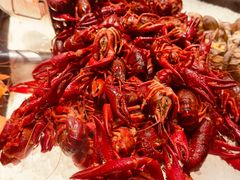 -新加坡乌节希尔顿酒店 (SG Clean)