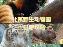 -北京野生动物园