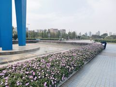 -泉城广场