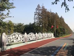 -上海长兴岛郊野公园