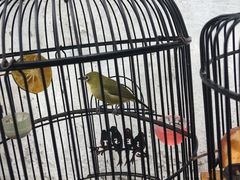 -亚非会议纪念博物馆