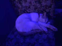 -星宿秘码(鼓浪屿老店)