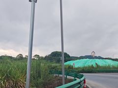-庐山风景名胜区-东林大佛