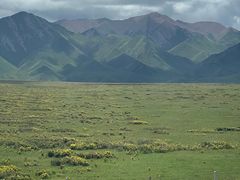 -山丹皇家马场