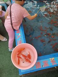 -萌宠亲子动物乐园(槐房万达店)