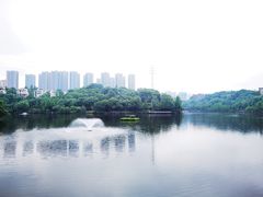 -重庆彩云湖湿地公园