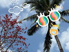 -海南热带雨林国家公园吊罗山景区