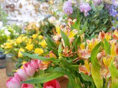 -北马山庄植趣咖啡