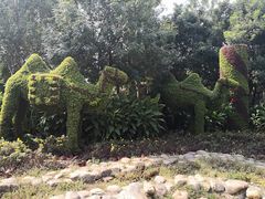 -长白岛森林公园