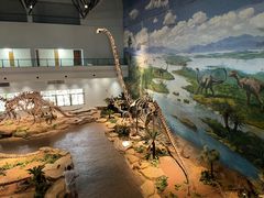 -自贡恐龙博物馆