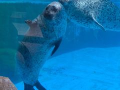 -珠海长隆海洋王国