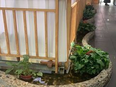 -醉霖生态餐厅(交大店)