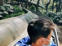 游乐设施-上海共青森林公园