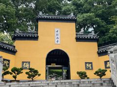 -鸡鸣赐茶(鸡鸣寺路店)