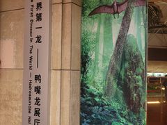 -诸城市恐龙博物馆