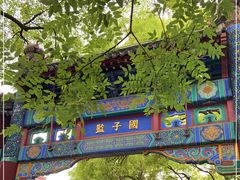 -北京国子监胡同
