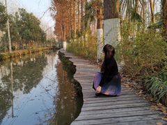 -合肥滨湖国家森林公园