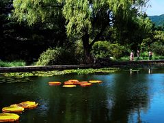 -国家植物园南园