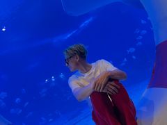 -烟台海昌鲸鲨海洋公园