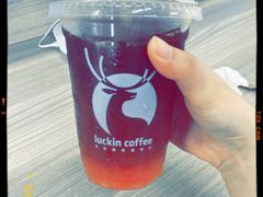 -瑞幸咖啡(蚌埠凤凰国际店)