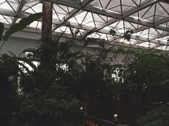 -天源吉布世温泉水乐园