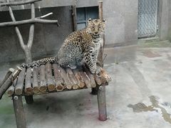 -西安秦岭野生动物园