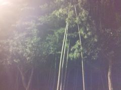 android_upload_pic-天目湖涵田度假村