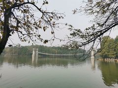 -东湖落雁景区