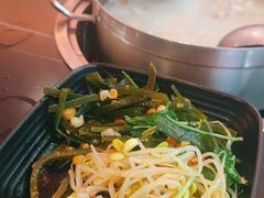 -淼福猪肚鸡·椰子鸡火锅(大沙地店)