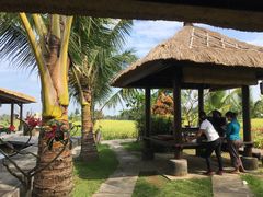 -Bebek Joni Restaurant