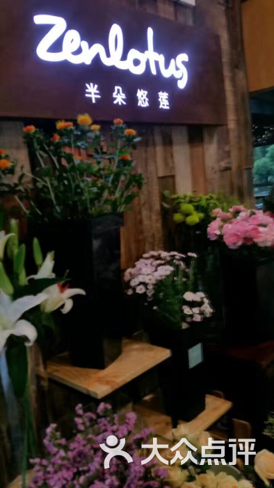 zenlotus半朵悠莲(杭大店)图片 第409张