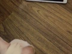 -翊宠yipet猫狗购宠庄园犬舍•猫舍