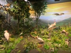 -陕西自然博物馆