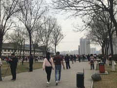 -西安青龙寺遗址景区