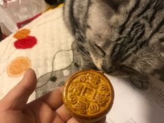 -祥禾饽饽铺·中式糕点(天津河东美福园店)
