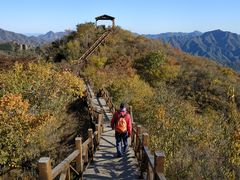 -大岭沟猕猴桃谷风景区