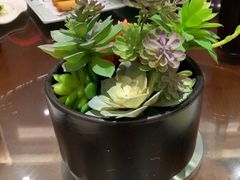 -三凤酒家·百年无锡菜(清扬茂业店)