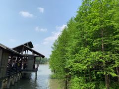 -溱湖国家湿地公园