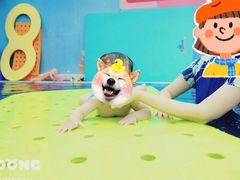 -龙格亲子游泳俱乐部(泊富中心)