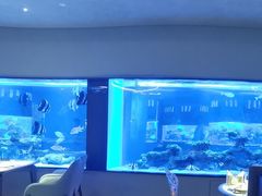 -上和臻品中国菜(花园街店)