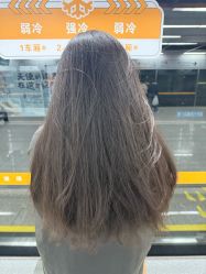 -菩叶脱发白发中心