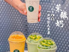 -茉酸奶(春熙路店)