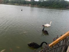 -艾溪湖湿地公园