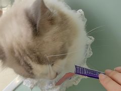 -怪兽屋·羊驼·猫咖·狗咖(俊华广场店)