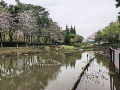 -映月湖公园