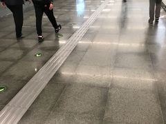 -宠福鑫动物医院·动物疾病诊疗中心(天通苑店)