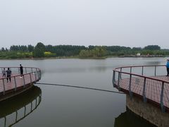 -东郊湿地公园